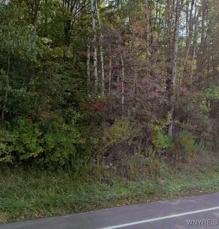 $52,900 | 0 Rt-16, Franklinville, NY 14737