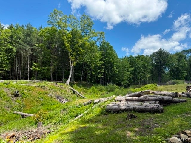 1055 Albion Cross Road Pulaski, NY 13142 - Photo 3 of 6