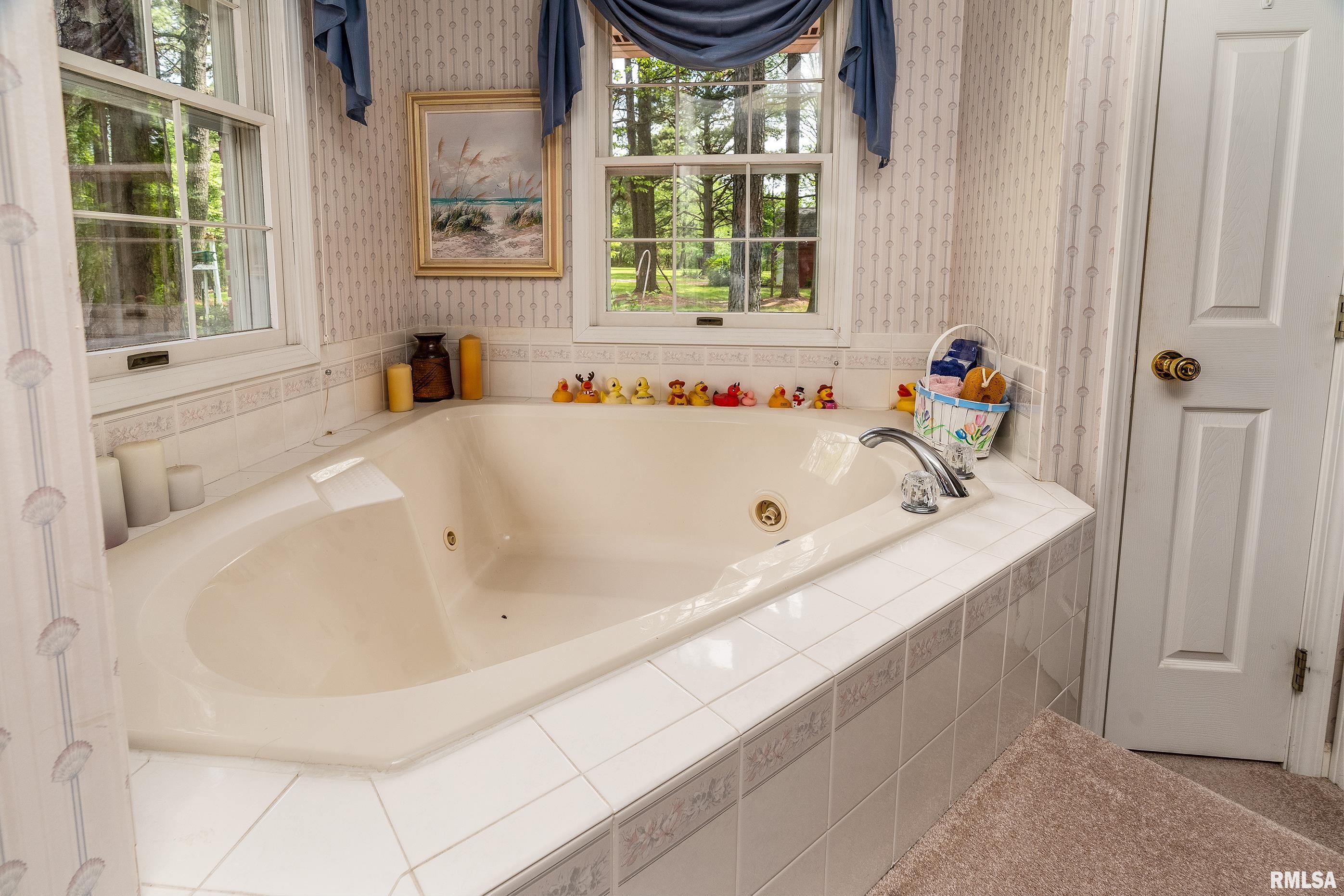 230 Blue Moon Road Carbondale, IL 62903 - Photo 36 of 62 Gallery Image 36