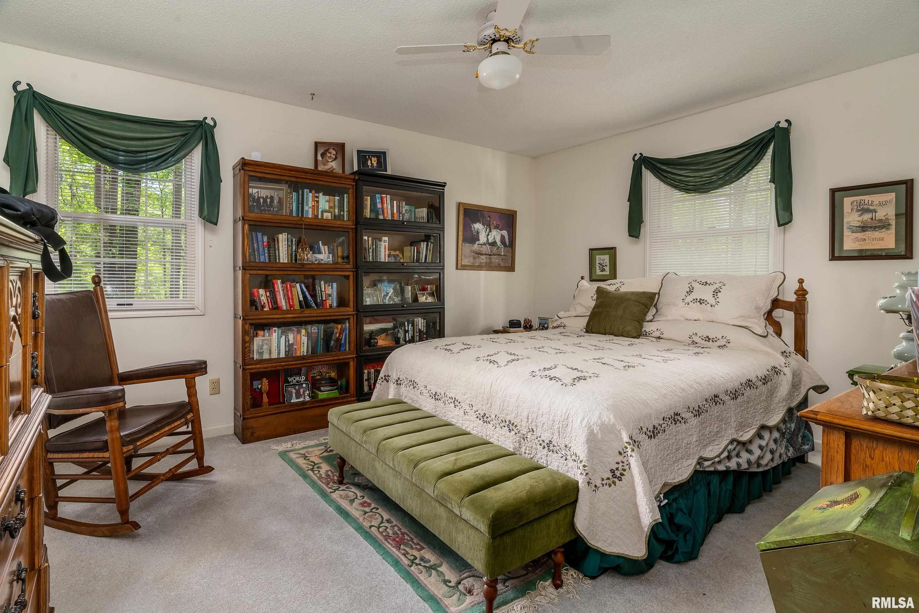 230 Blue Moon Road Carbondale, IL 62903 - Photo 37 of 62 Gallery Image 37