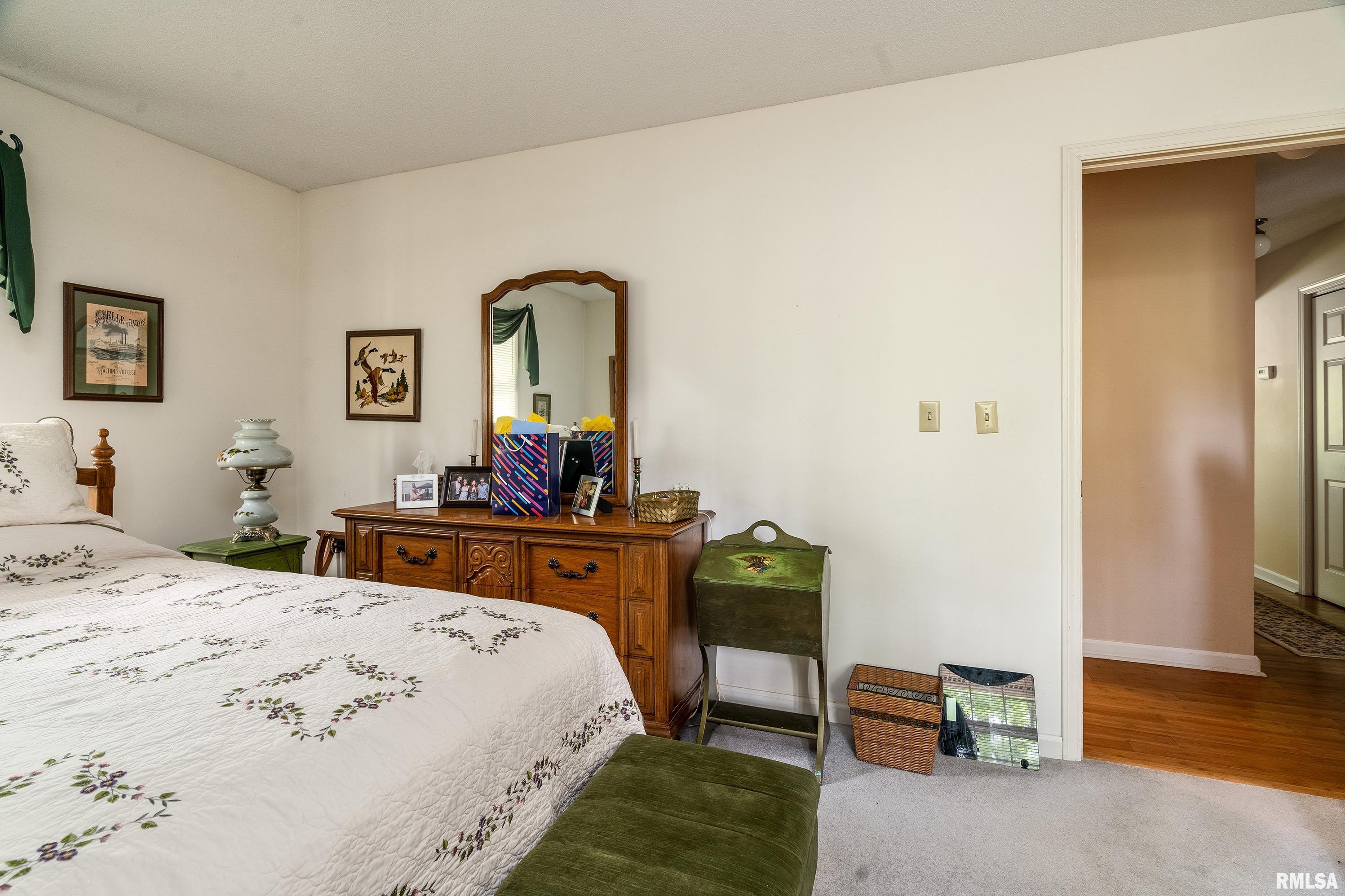 230 Blue Moon Road Carbondale, IL 62903 - Photo 38 of 62 Gallery Image 38