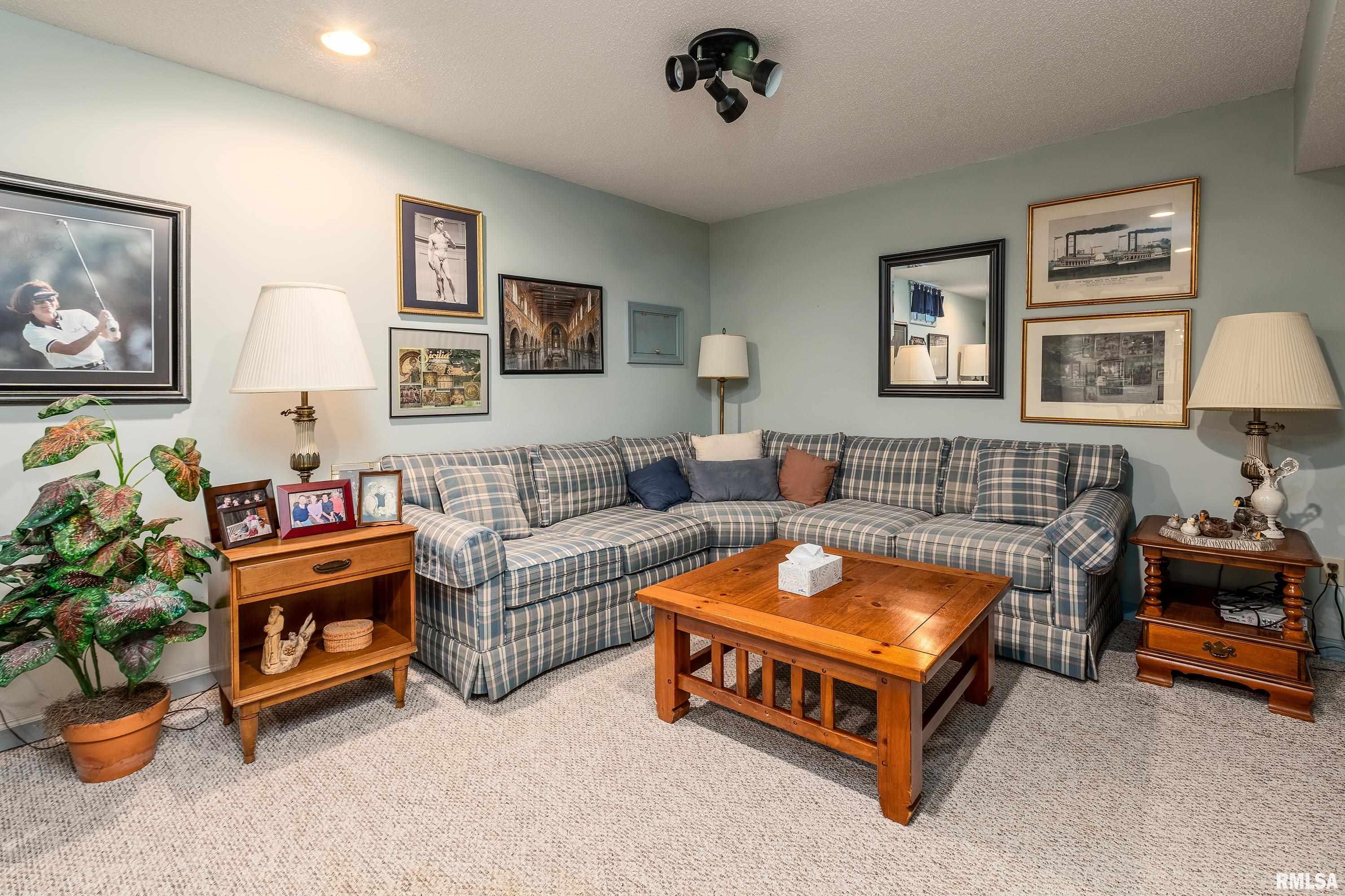 230 Blue Moon Road Carbondale, IL 62903 - Photo 45 of 62 Gallery Image 45