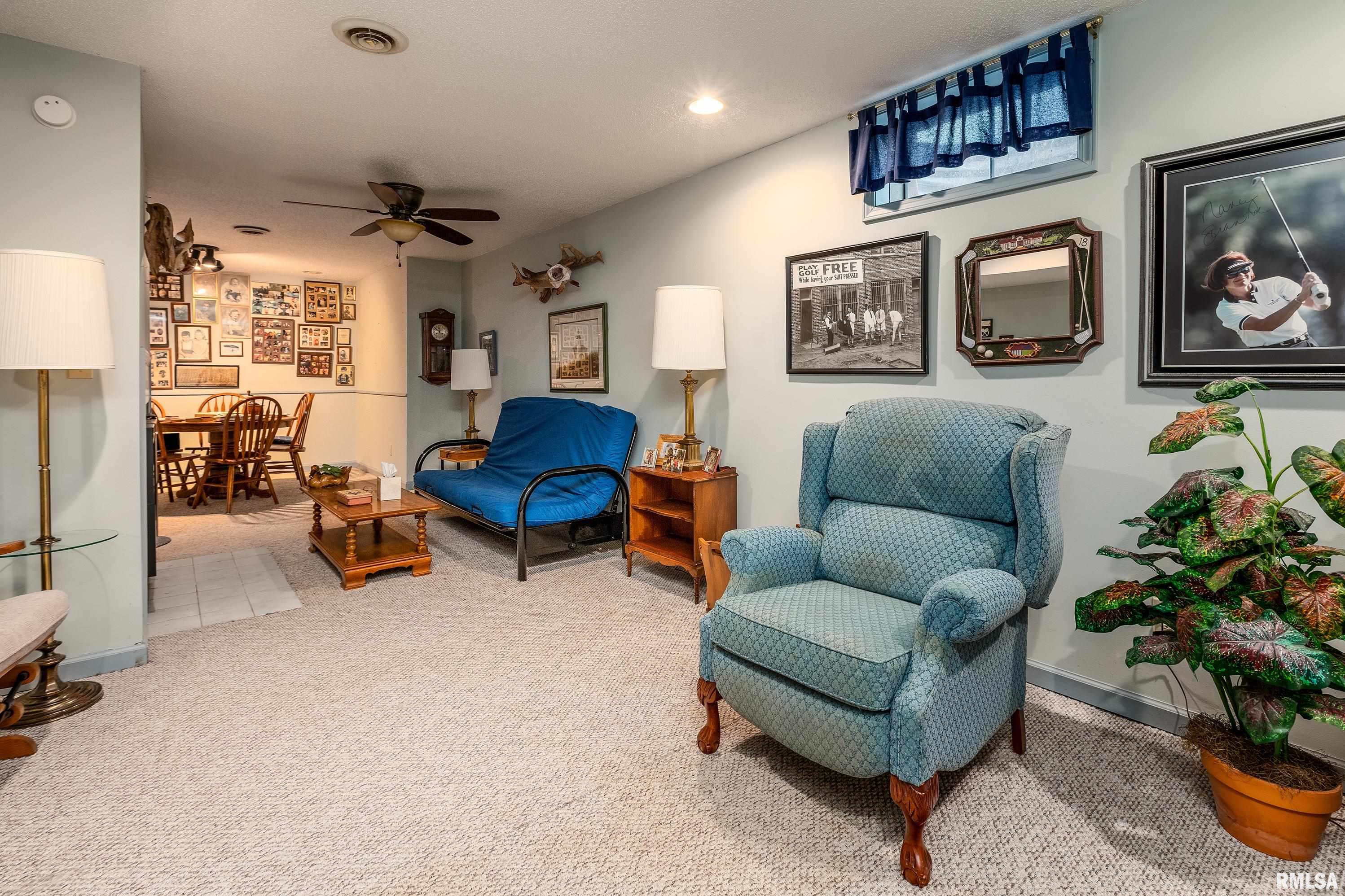 230 Blue Moon Road Carbondale, IL 62903 - Photo 46 of 62 Gallery Image 46