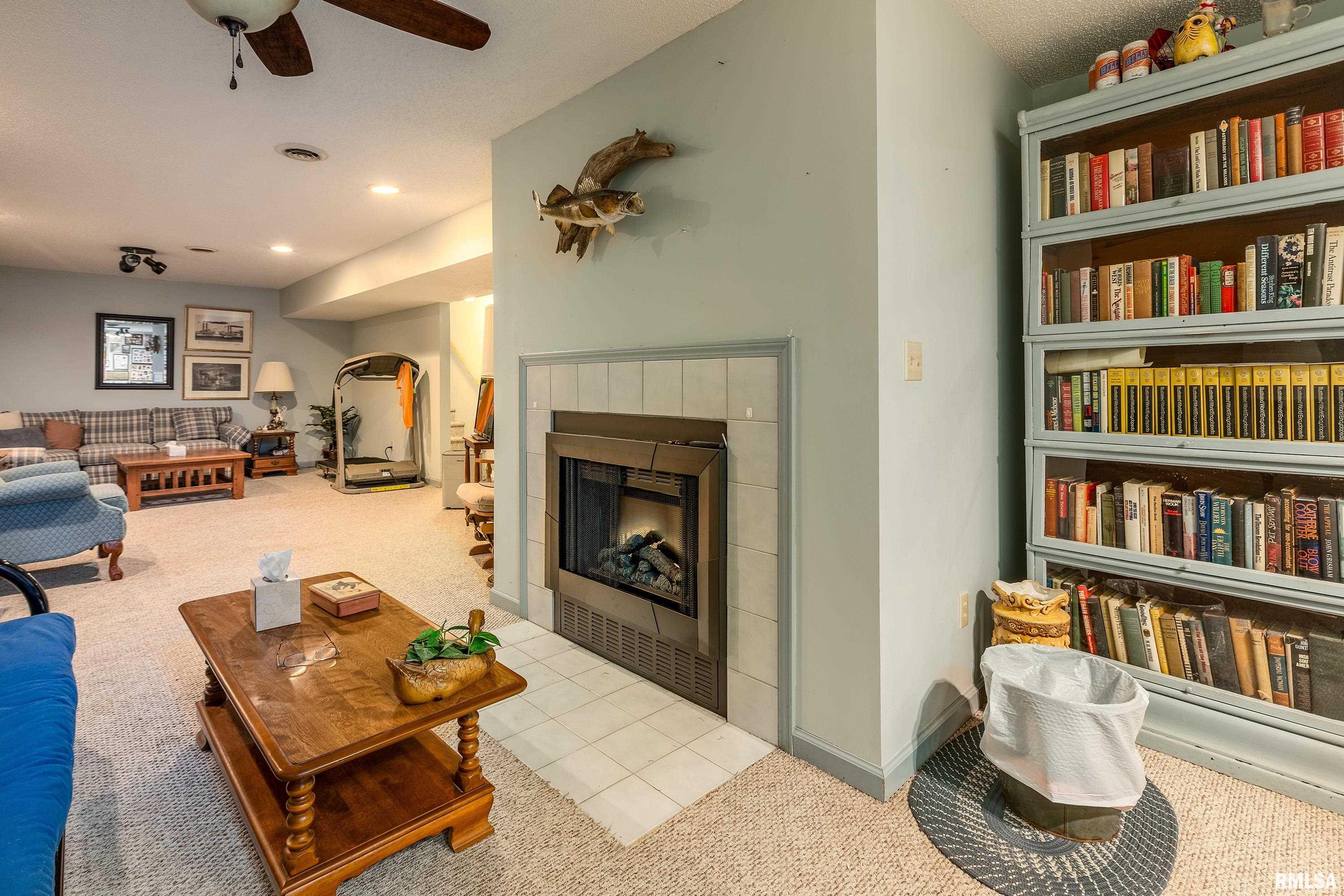 230 Blue Moon Road Carbondale, IL 62903 - Photo 48 of 62 Gallery Image 48