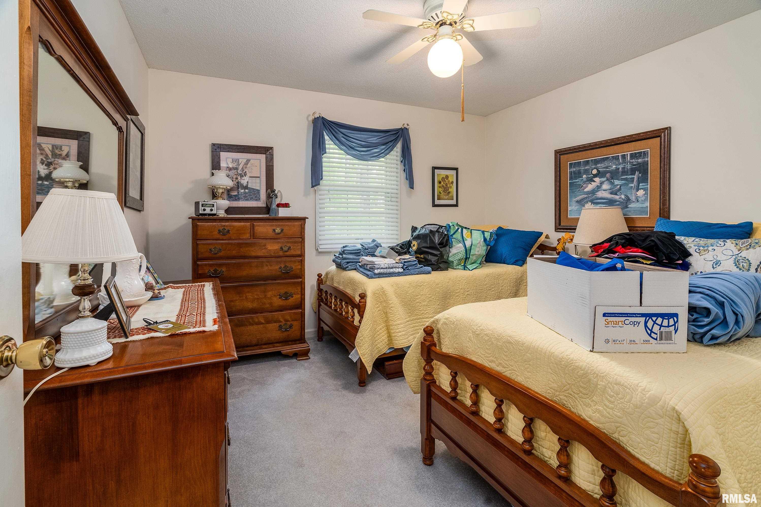230 Blue Moon Road Carbondale, IL 62903 - Photo 49 of 62 Gallery Image 49