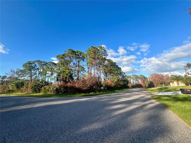 an aerial view of swimming pool