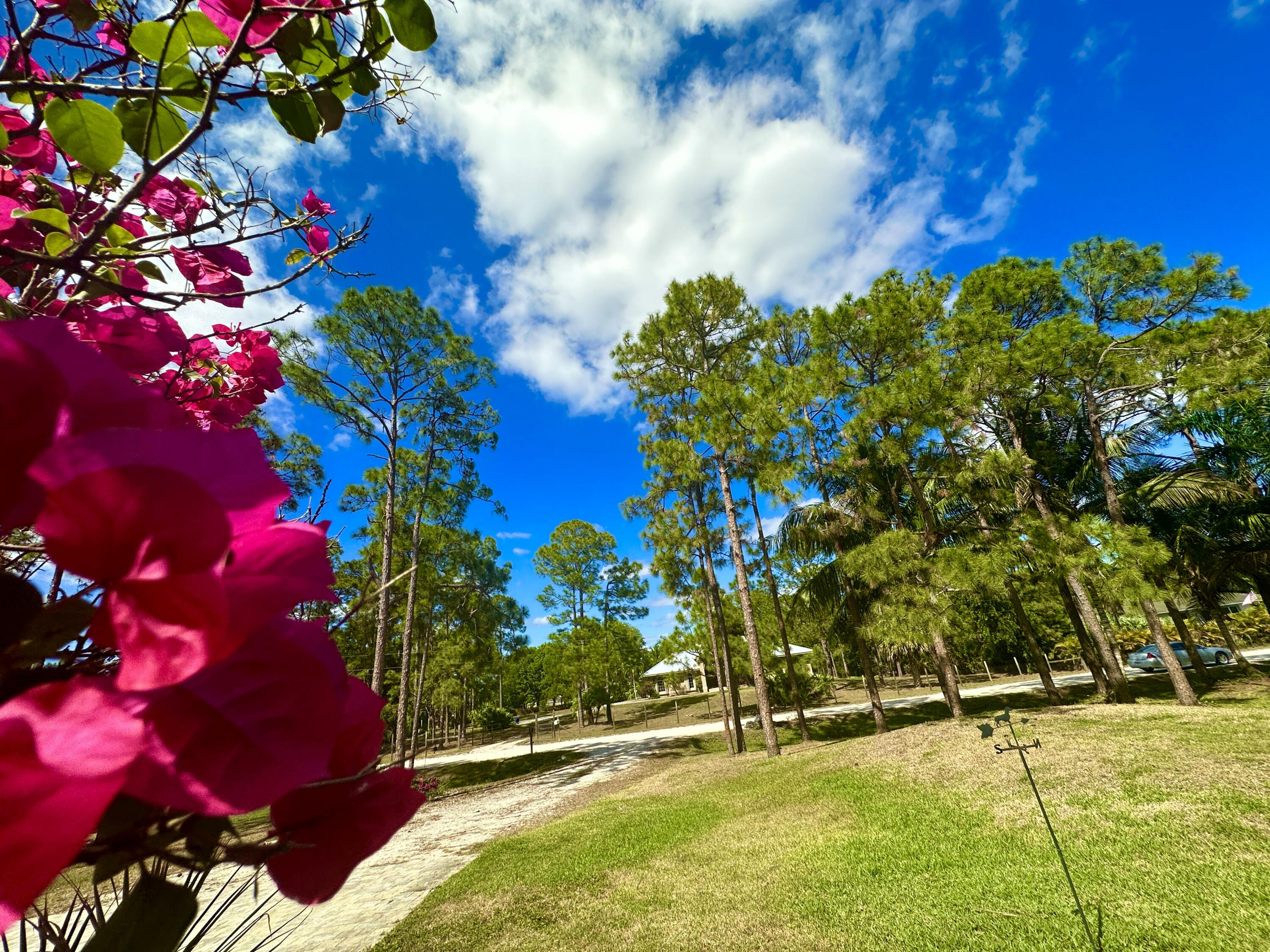 18180 42nd Road North Loxahatchee, FL 33470 - Photo 100 of 108 9D70DD31-EA72-4F45-A4C5-7A30774D929D