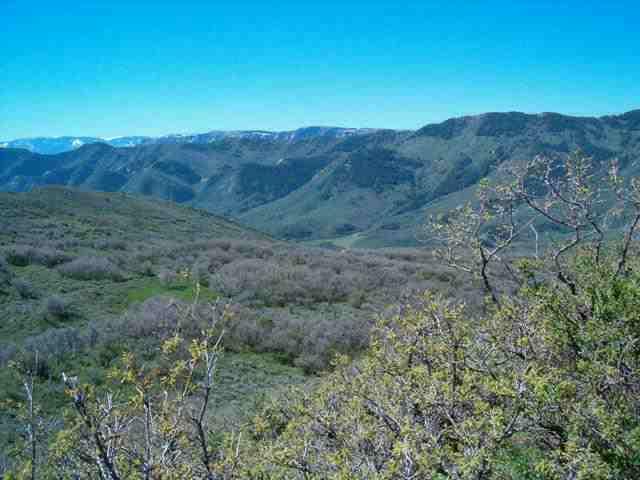 a view of a dry field