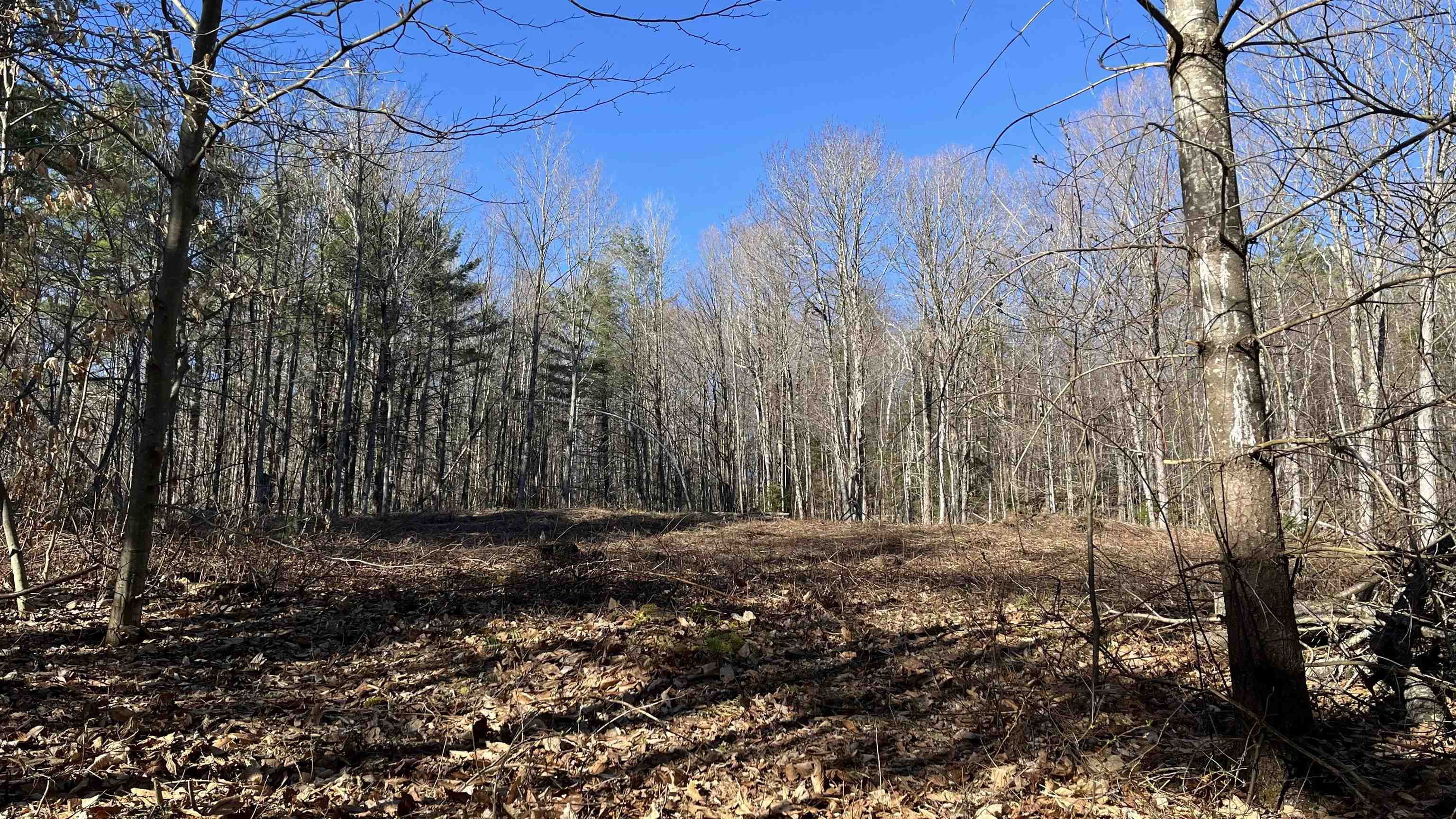 Dix Hill Road, Unit 23 Ludlow, VT 05149 - Photo 24 of 28