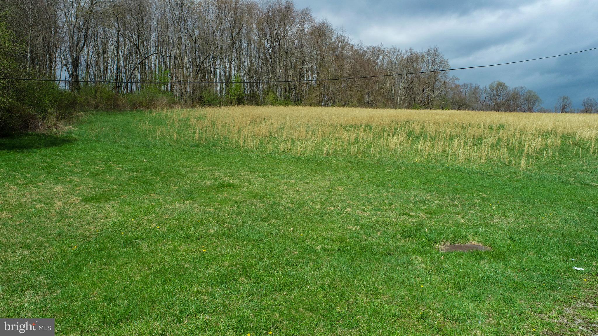 10785 Friendsville Road Friendsville, MD 21531 - Photo 7 of 19 a view of a yard