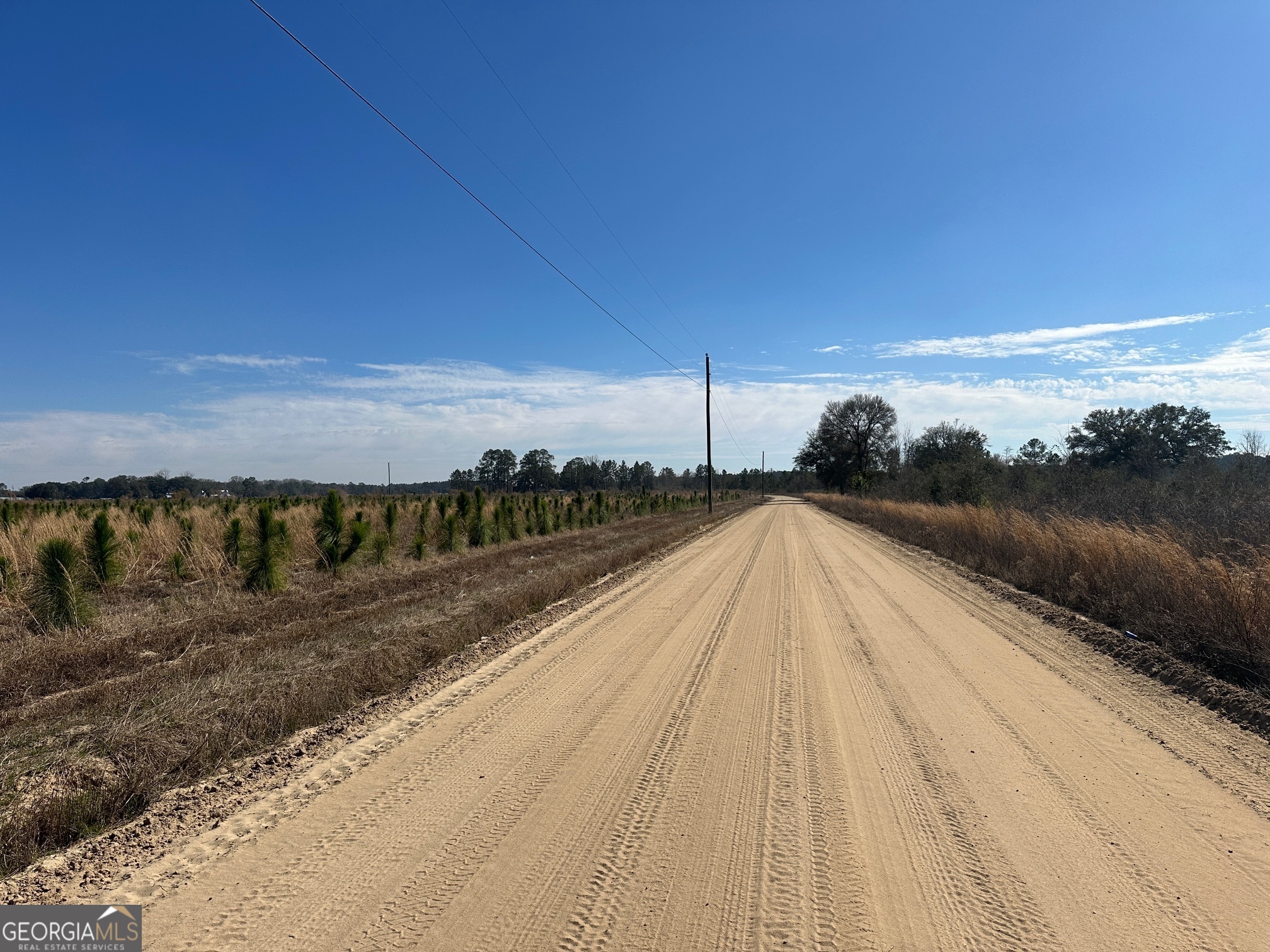 2000-4 Sellers Road Northwest Baxley, GA 31513 - Photo 6 of 11 a view of a terrace with sky view