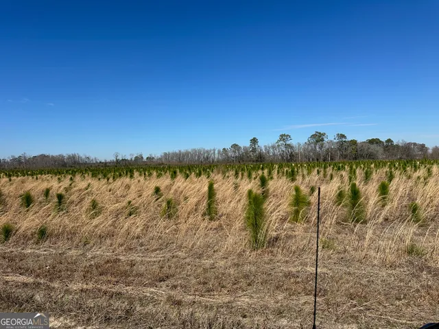 a view of lake with sunset