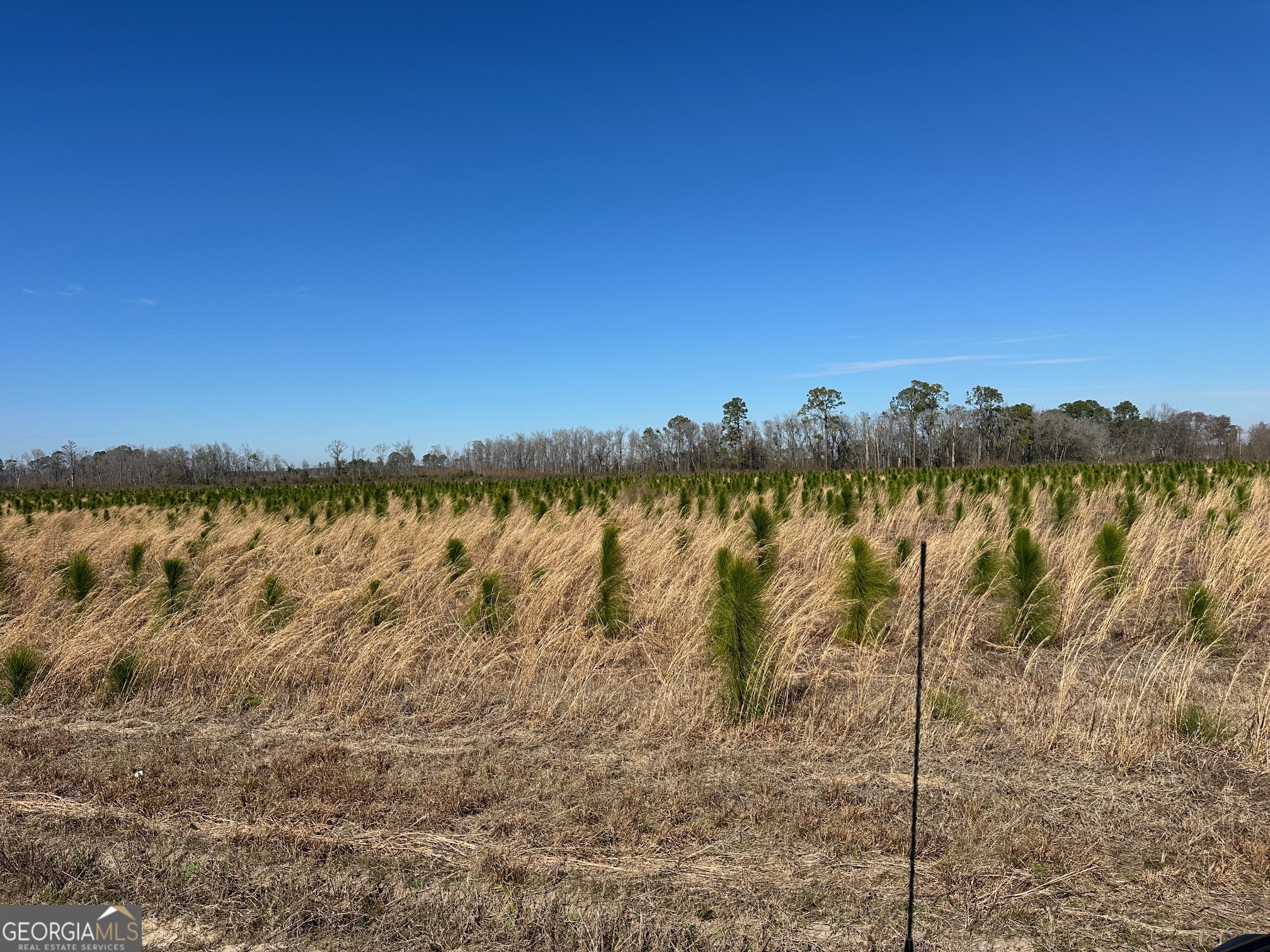2000-4 Sellers Road Northwest Baxley, GA 31513 - Photo 10 of 11 a view of lake with sunset