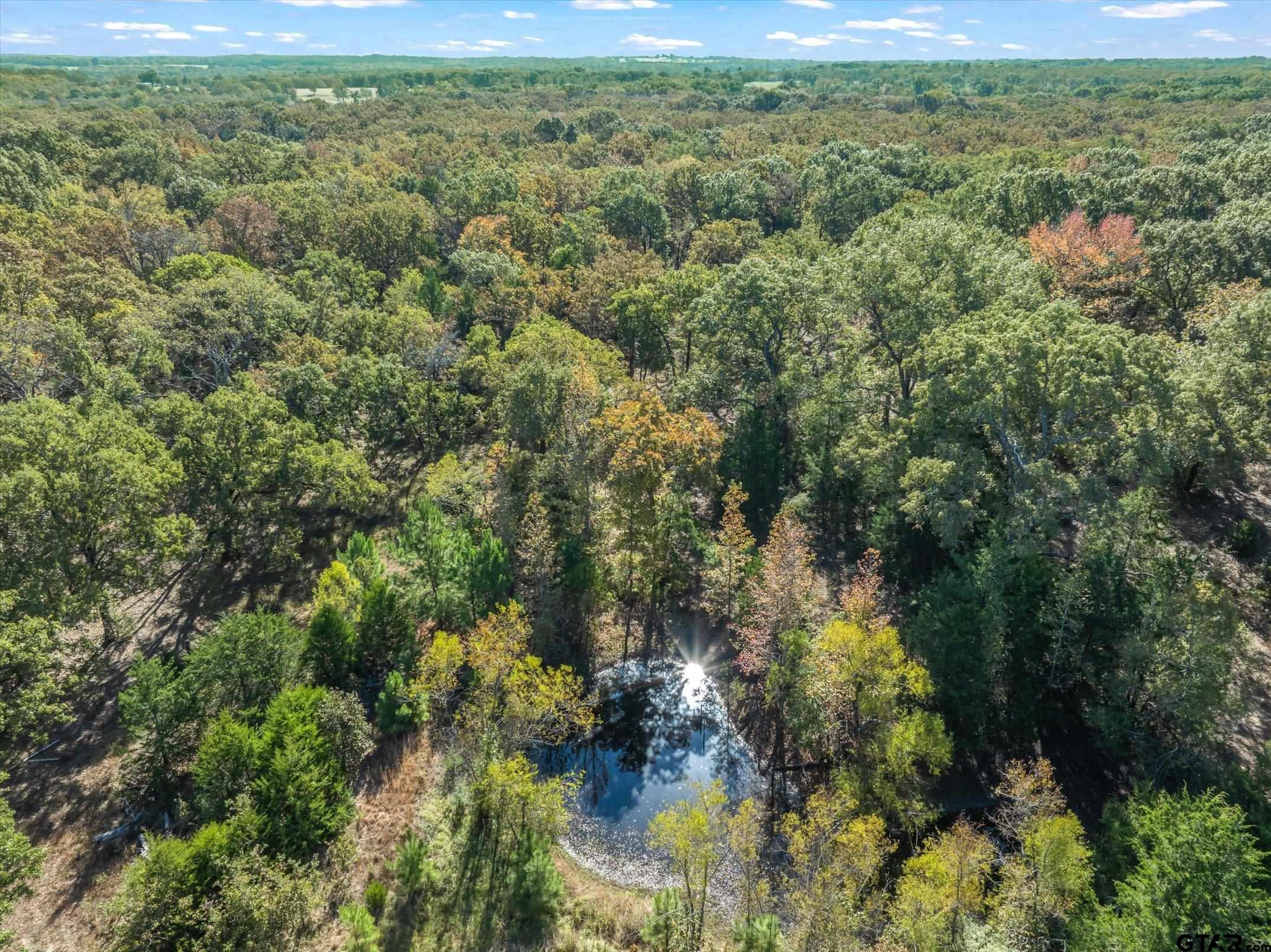 3360 Fm 1805 Van, TX 75790 - Photo 5 of 46