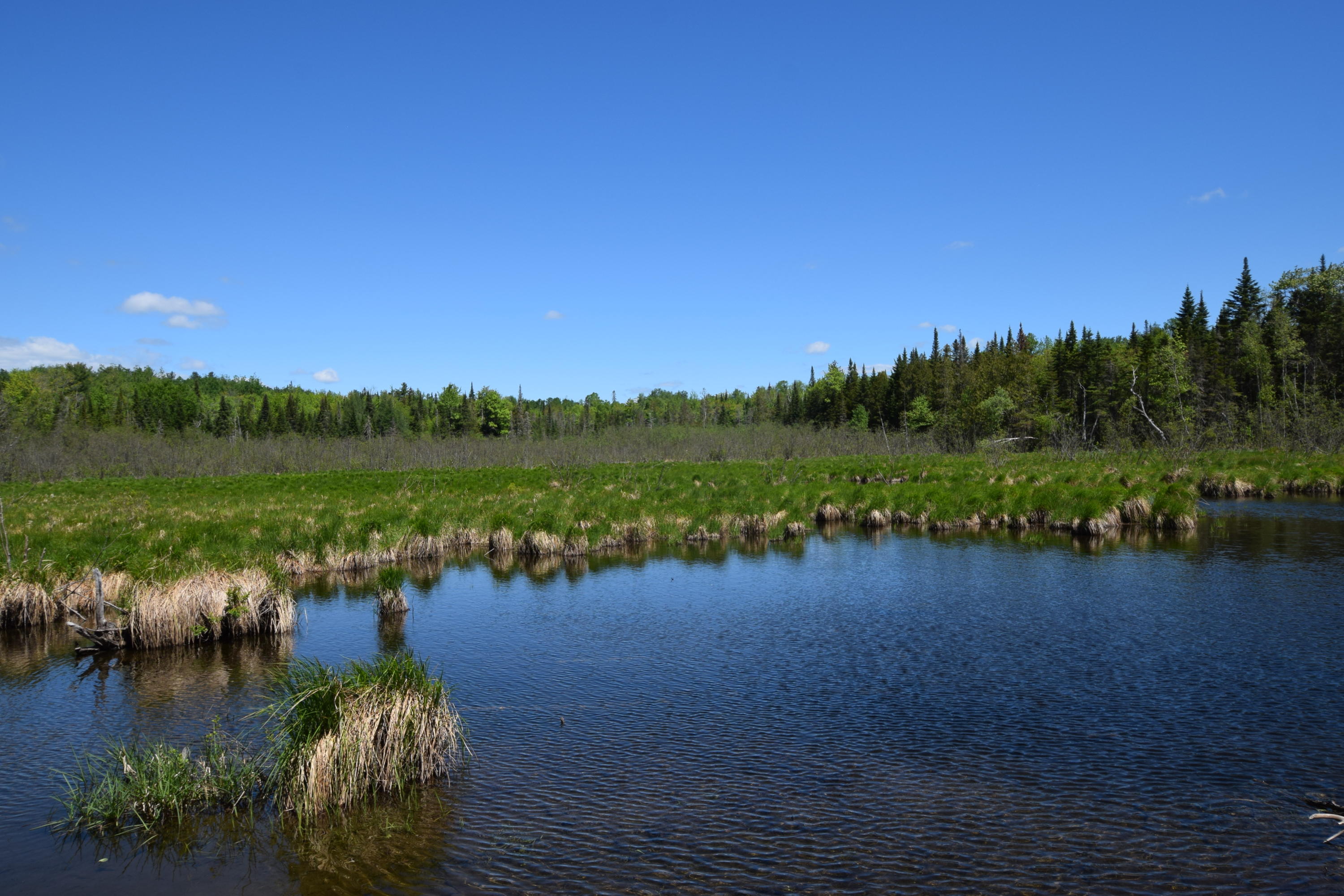 Lot 18 Tenney Hill Road Monson, ME 04464 - Photo 38 of 41 2020-06-01 23.18.13