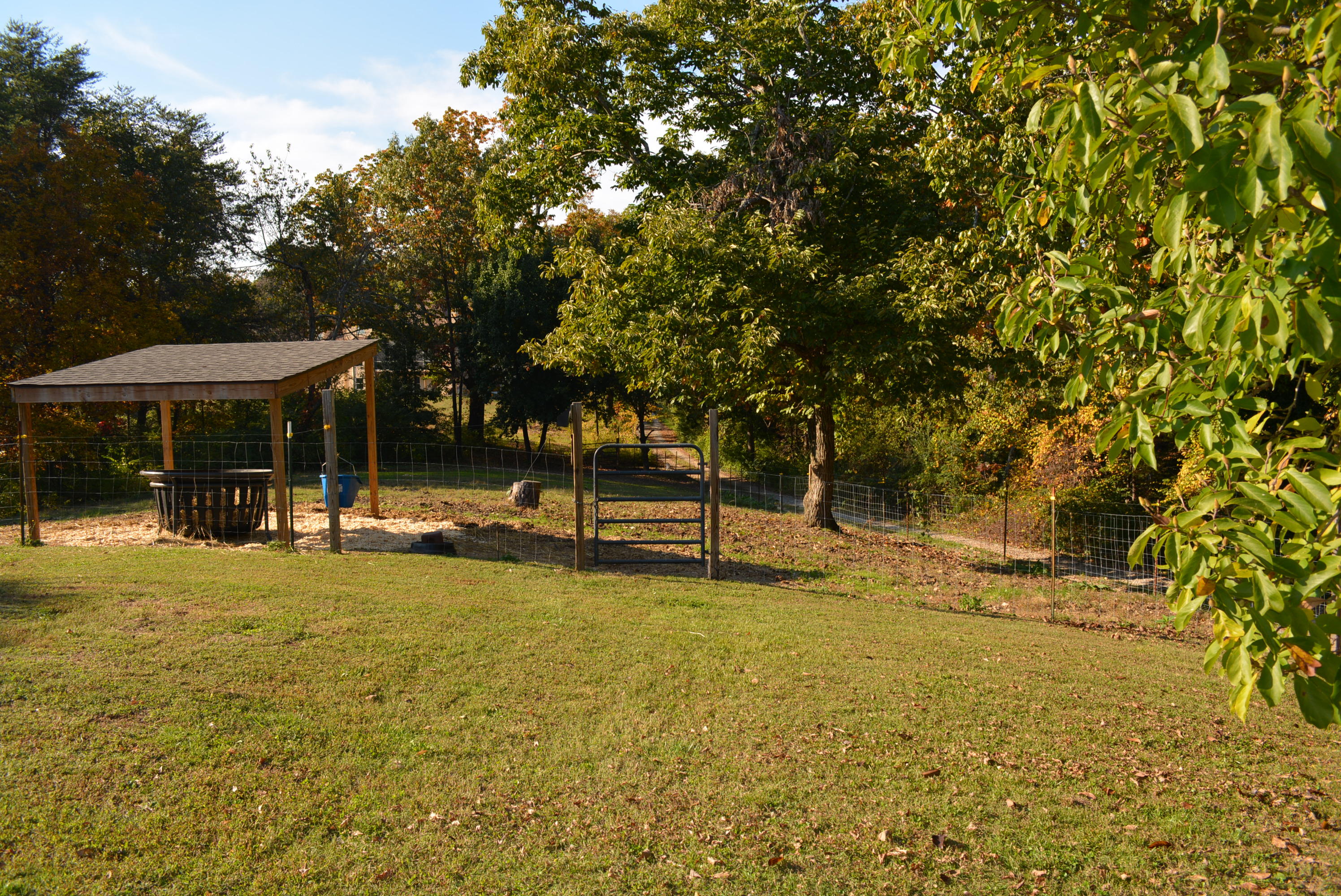 770 Intermont Circle Chattanooga, TN 37415 - Photo 52 of 67 Intermont 008
