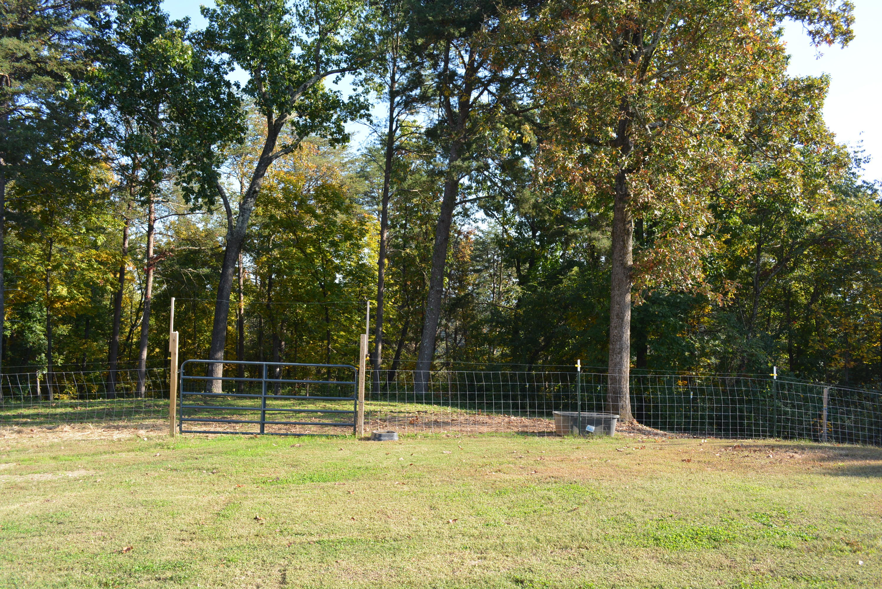 770 Intermont Circle Chattanooga, TN 37415 - Photo 60 of 67 Intermont 038