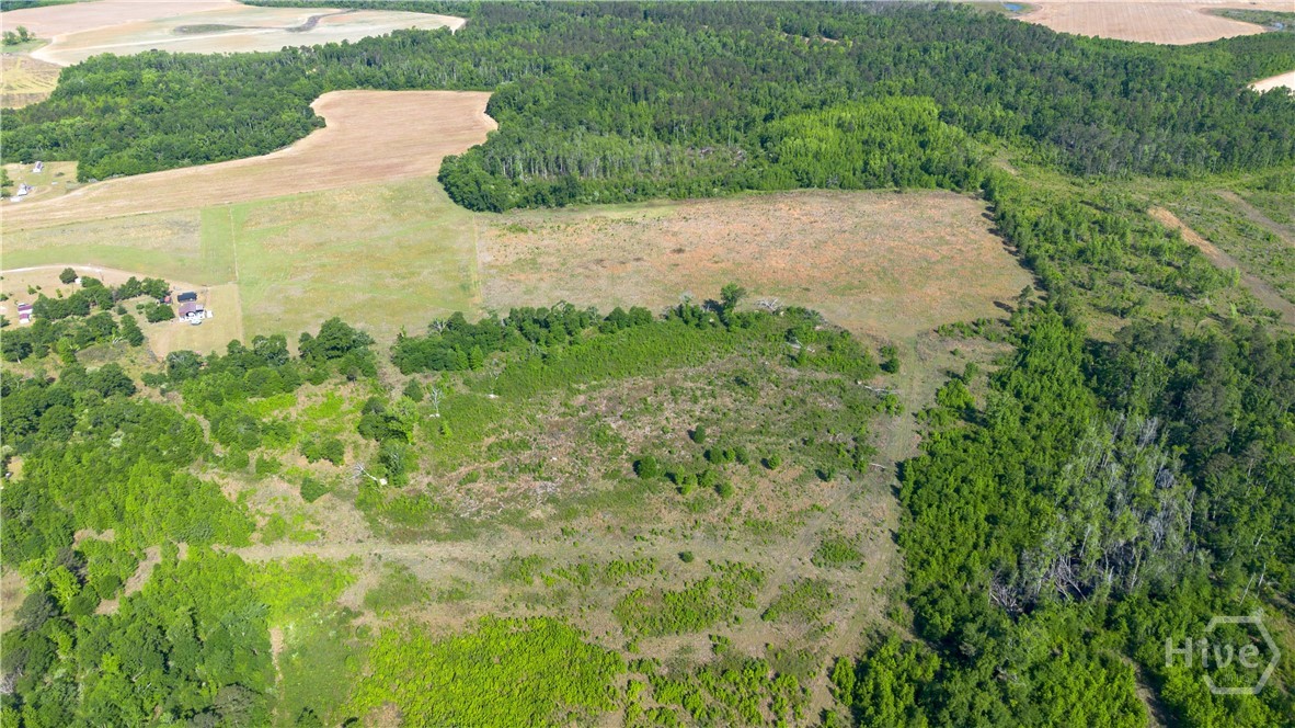 0 Scott Store Road Millen, GA 30442 - Photo 8 of 12