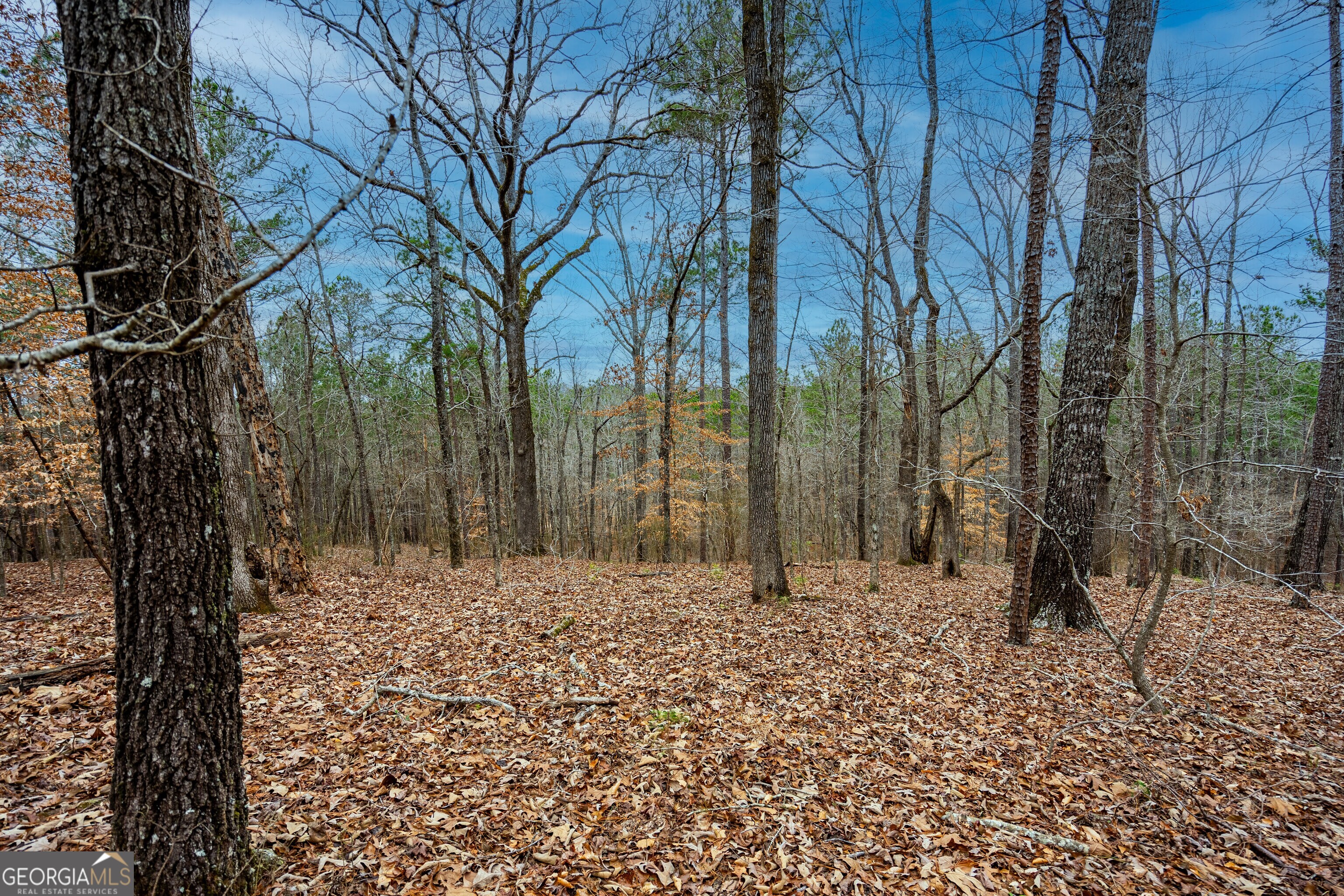 295 Ferrell-Tatum Road LaGrange, GA 30240 - Photo 28 of 36