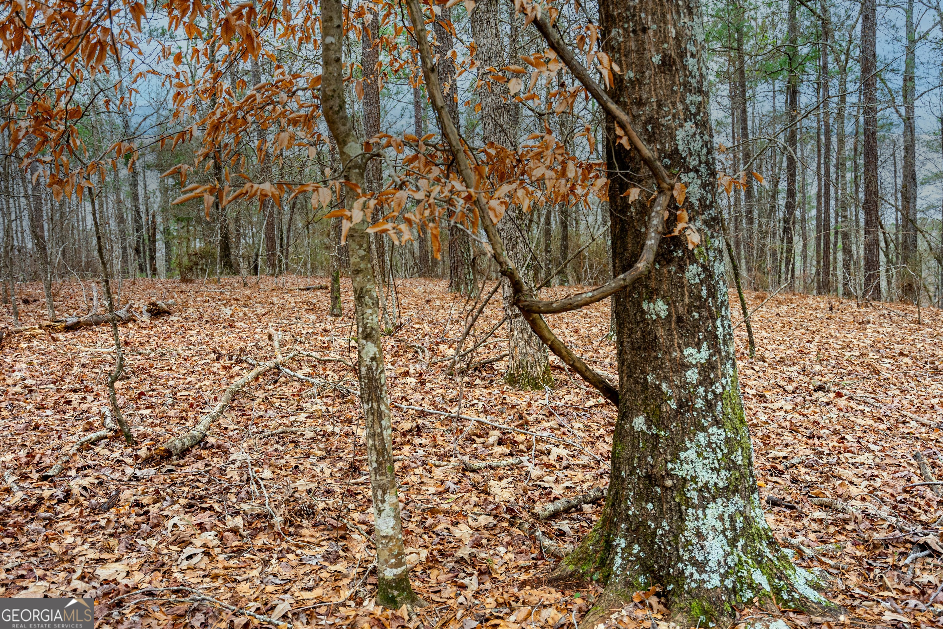 295 Ferrell-Tatum Road LaGrange, GA 30240 - Photo 29 of 36