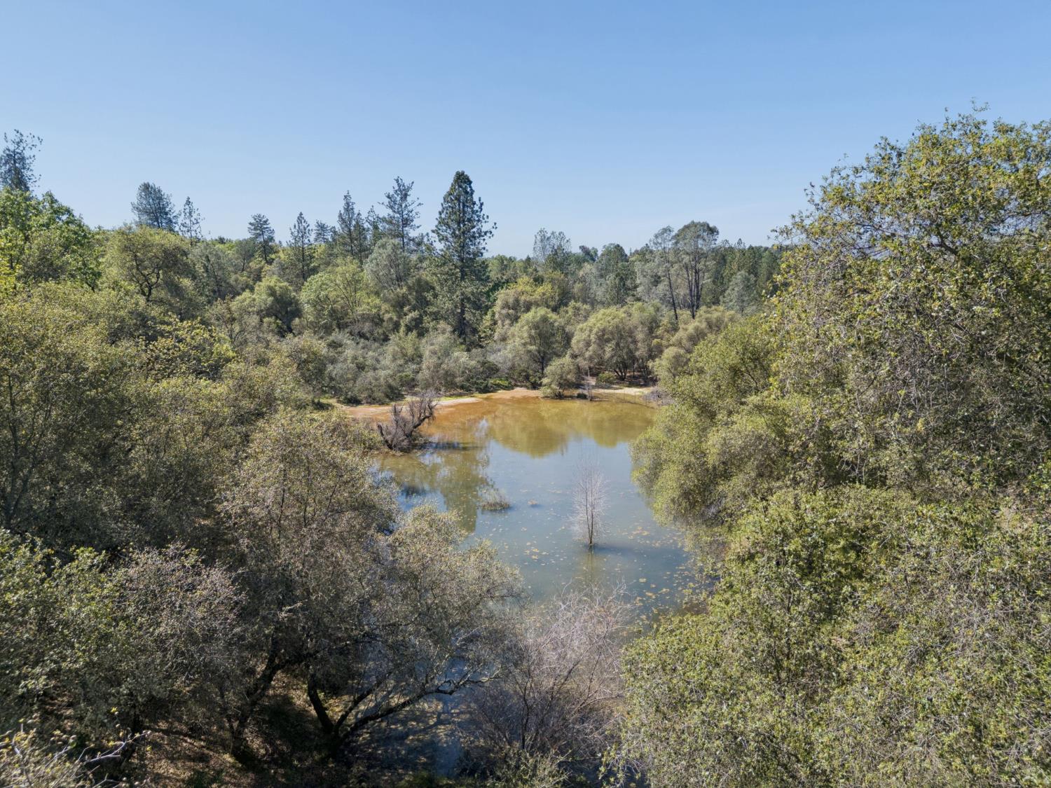 5844 October Hill Road Placerville, CA 95667 - Photo 35 of 75