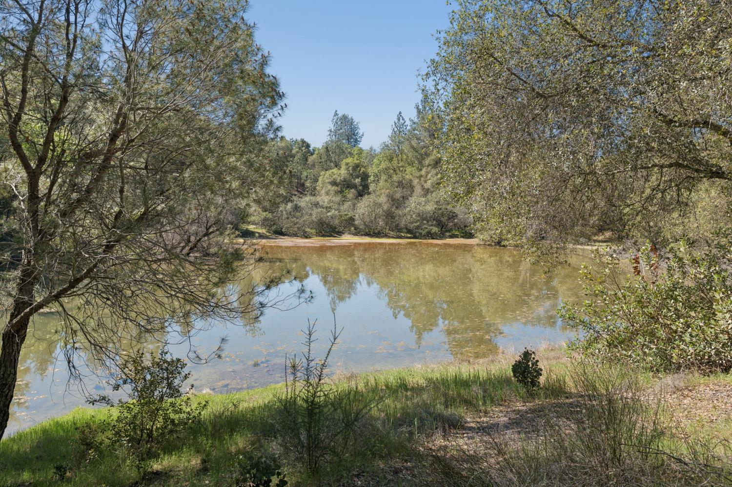 5844 October Hill Road Placerville, CA 95667 - Photo 38 of 75