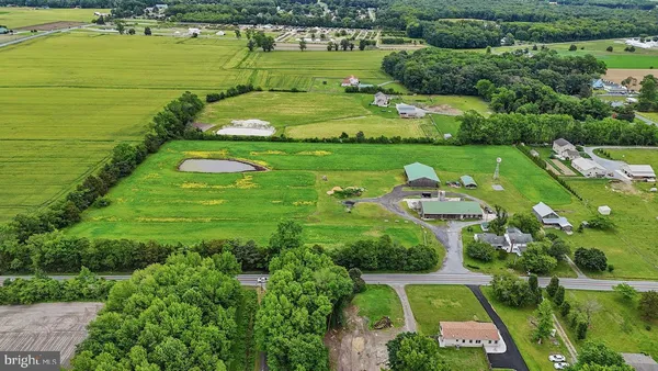an aerial view of huge green field with lots of green plants