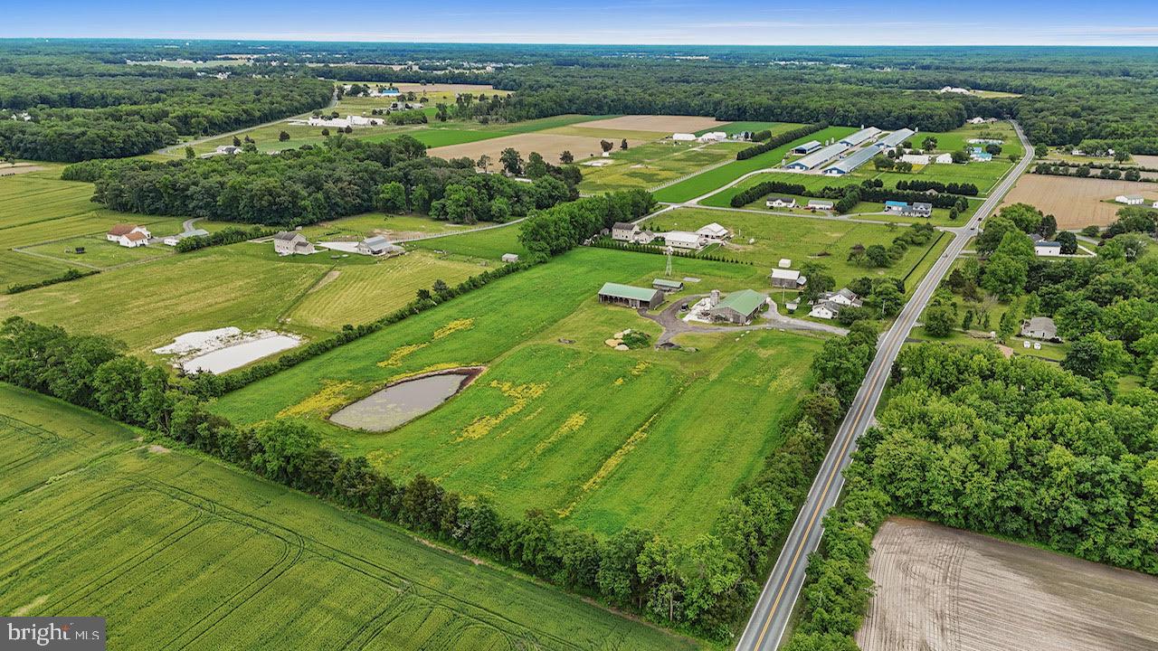 1950 Pearsons Corner Road Dover, DE 19904 - Photo 6 of 42