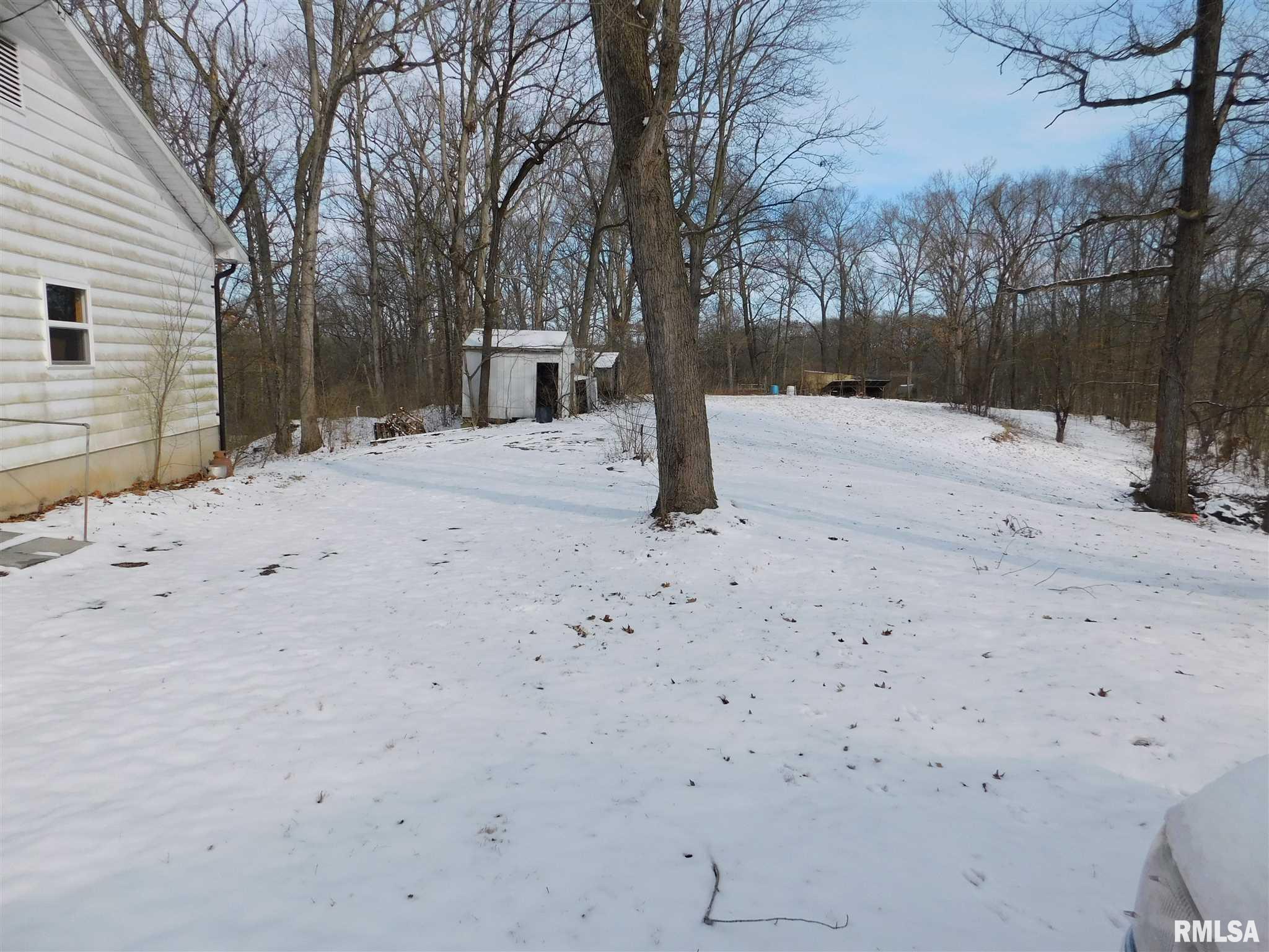 8820 Ridge Road Carlinville, IL 62626 - Photo 3 of 4