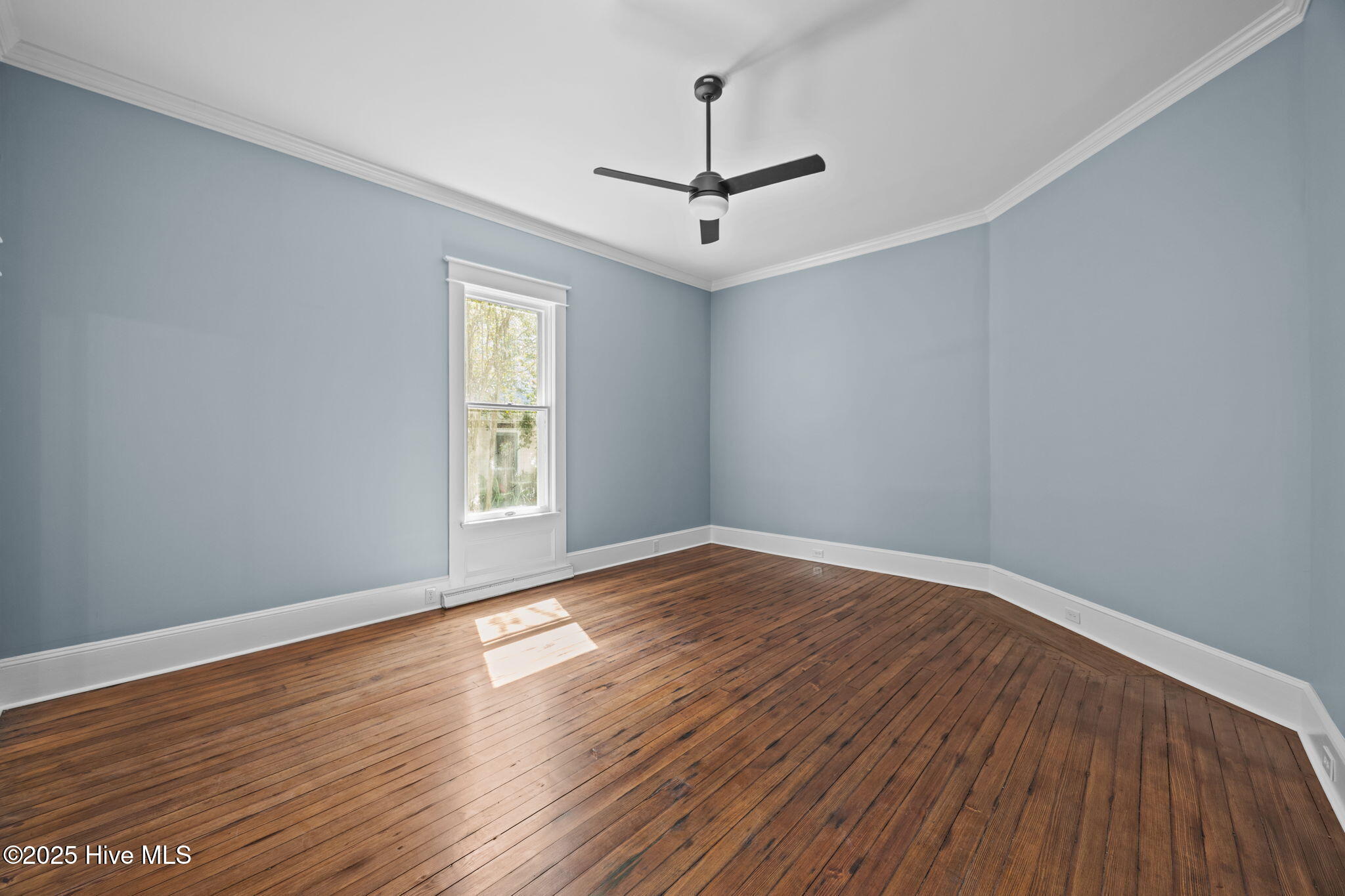 620 West 2nd Street Washington, NC 27889 - Photo 29 of 82 11-web-or-mls-BLS_0033