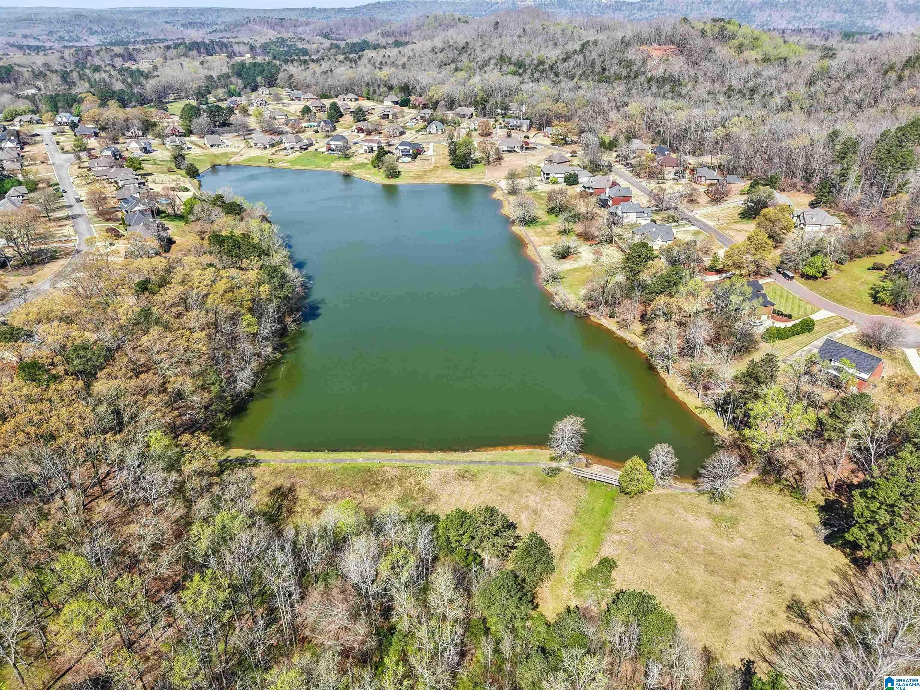 135 MacDonald Court Springville, AL 35146 - Photo 46 of 47