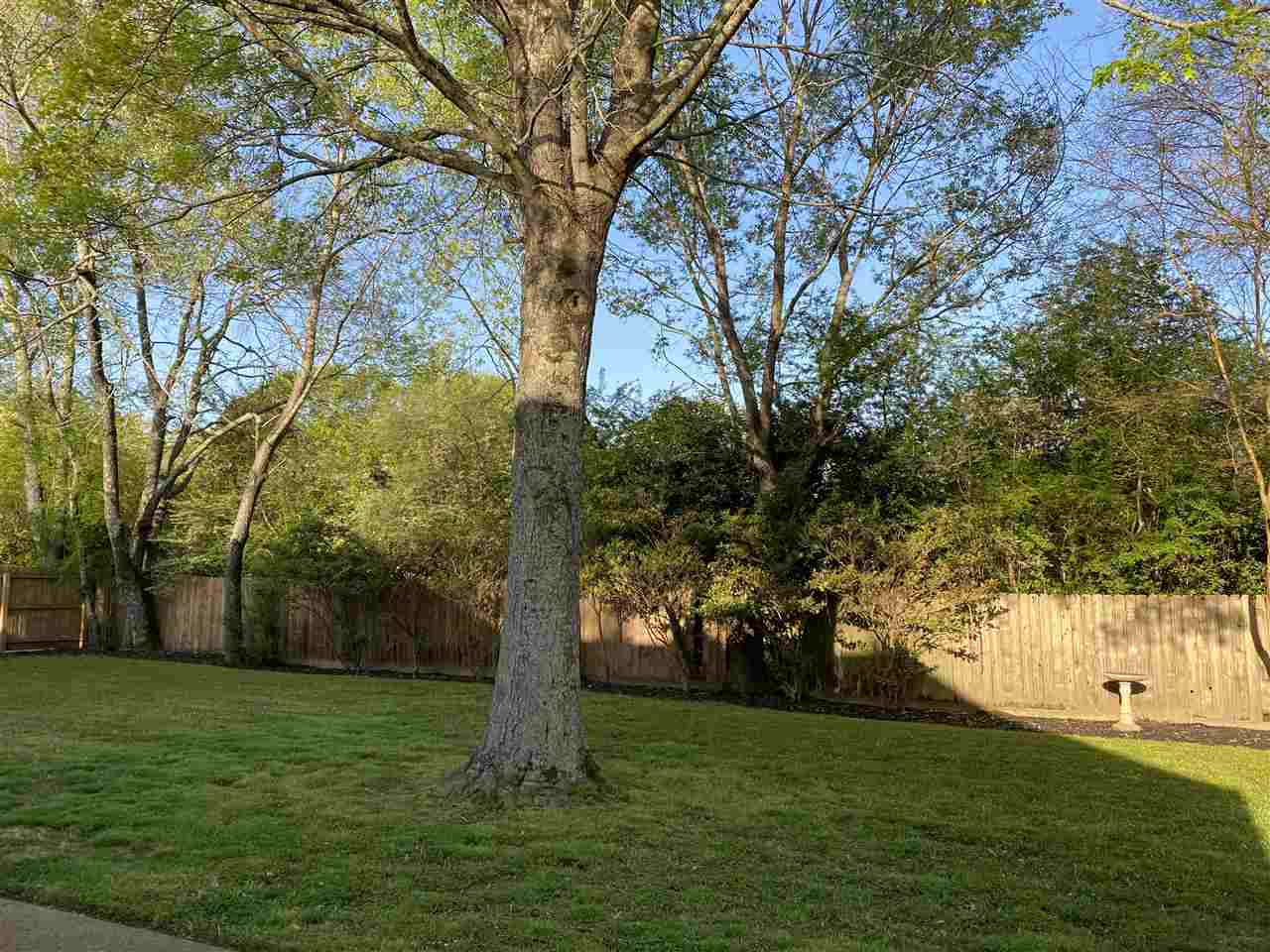 1115 Stanton Hall Road Collierville, TN 38017 - Photo 23 of 25 Gallery Image 23