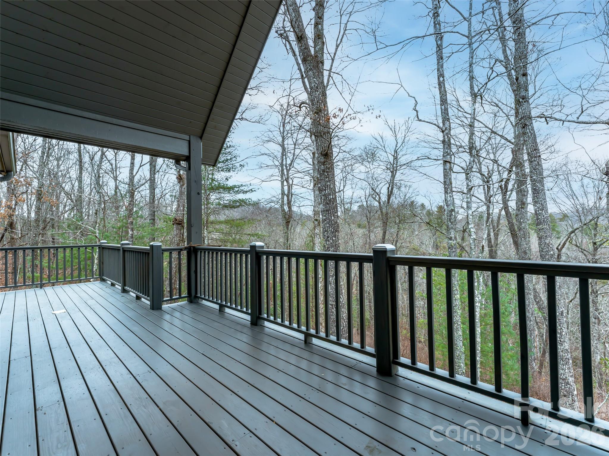 472 Cardinal Road Brevard, NC 28712 - Photo 7 of 48 Gallery Image 7