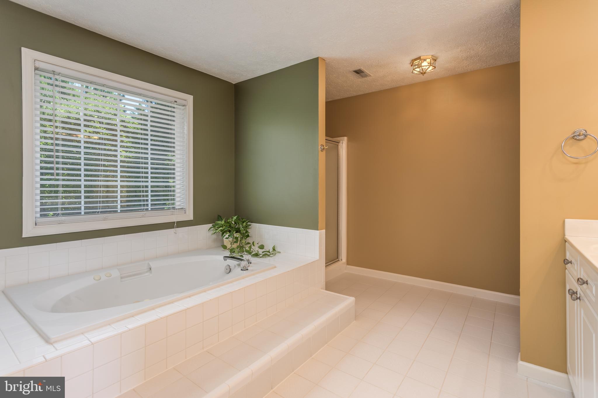 286 Huntersridge Road Winchester, VA 22602 - Photo 17 of 42 Master Bath with Jetted Soaking Tub!