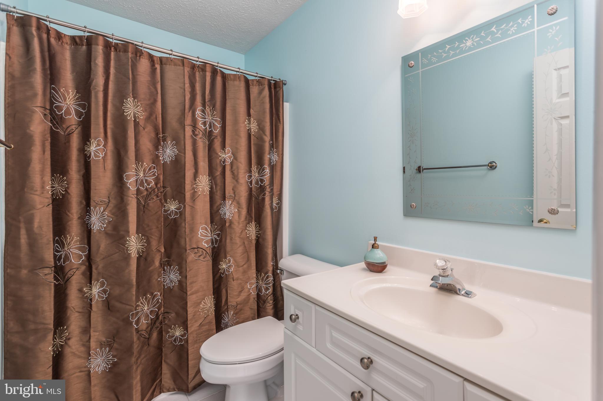 286 Huntersridge Road Winchester, VA 22602 - Photo 24 of 42 Upper Level Hallway Full Bath!