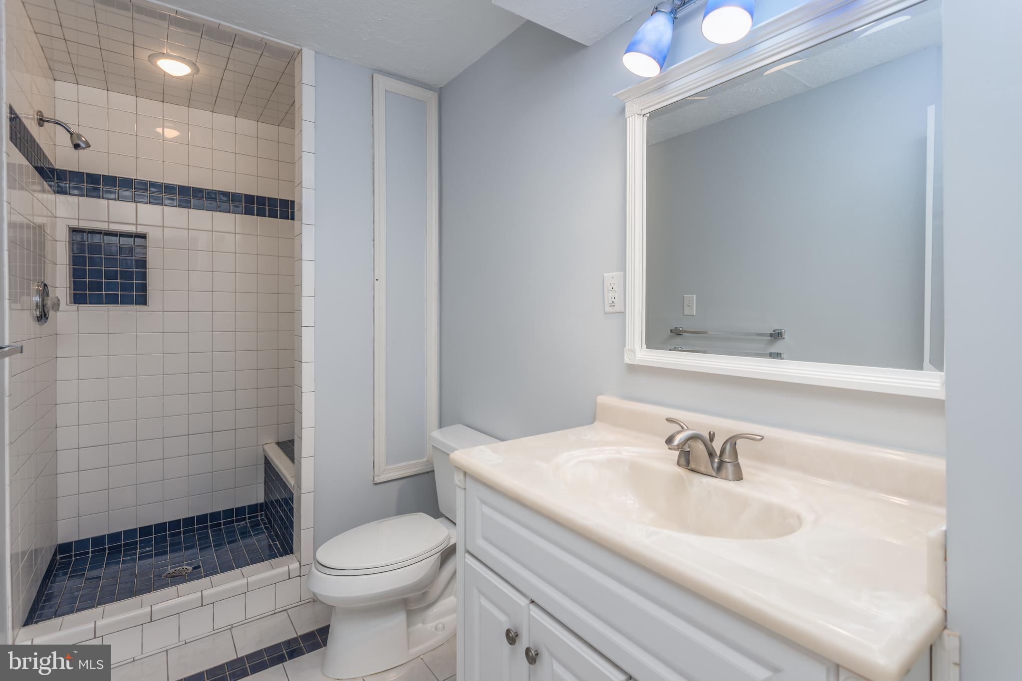 286 Huntersridge Road Winchester, VA 22602 - Photo 30 of 42 Bathroom with Tiled Shower with Seat!