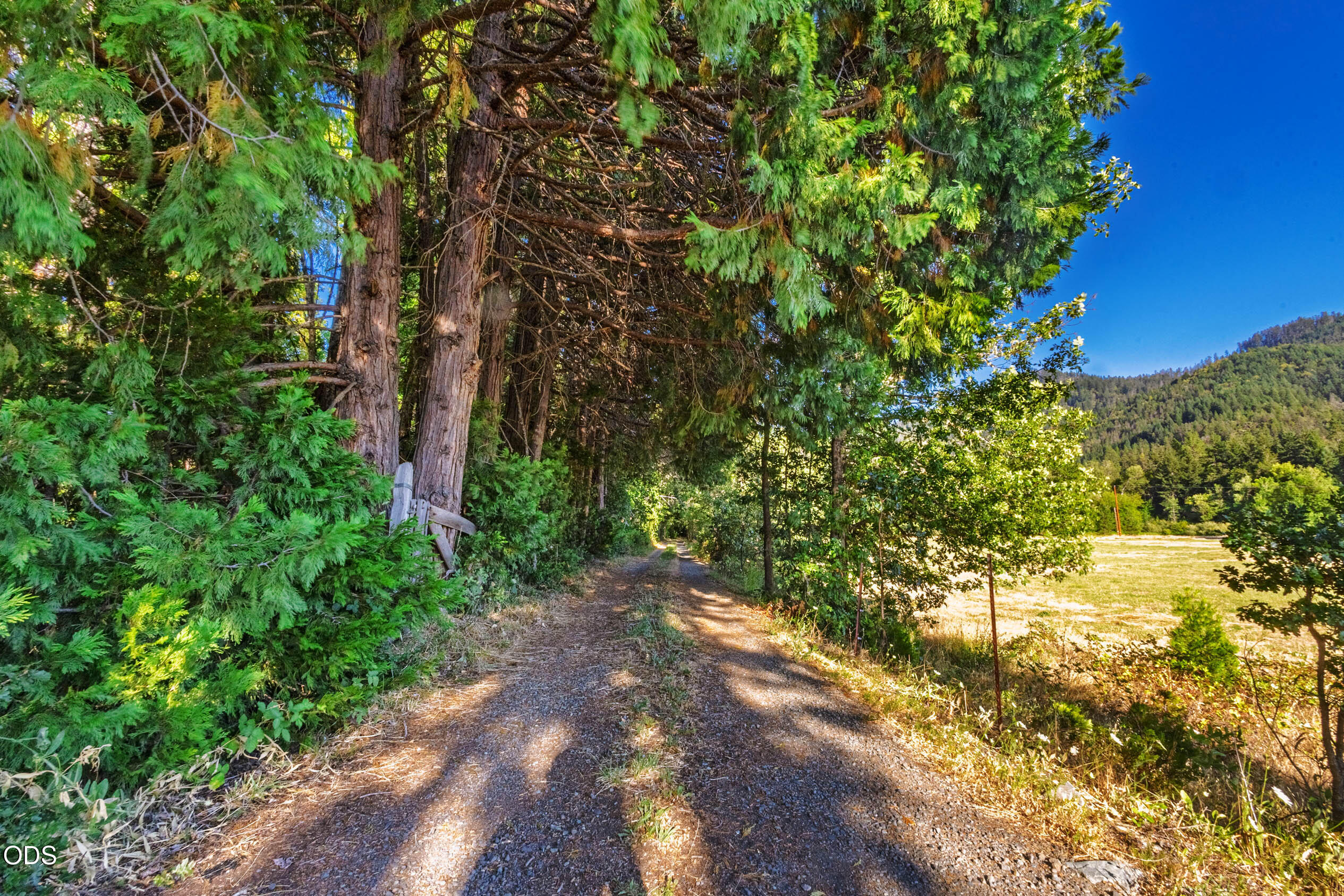 2211 Dick George Road Cave Junction, OR 97523 - Photo 60 of 60