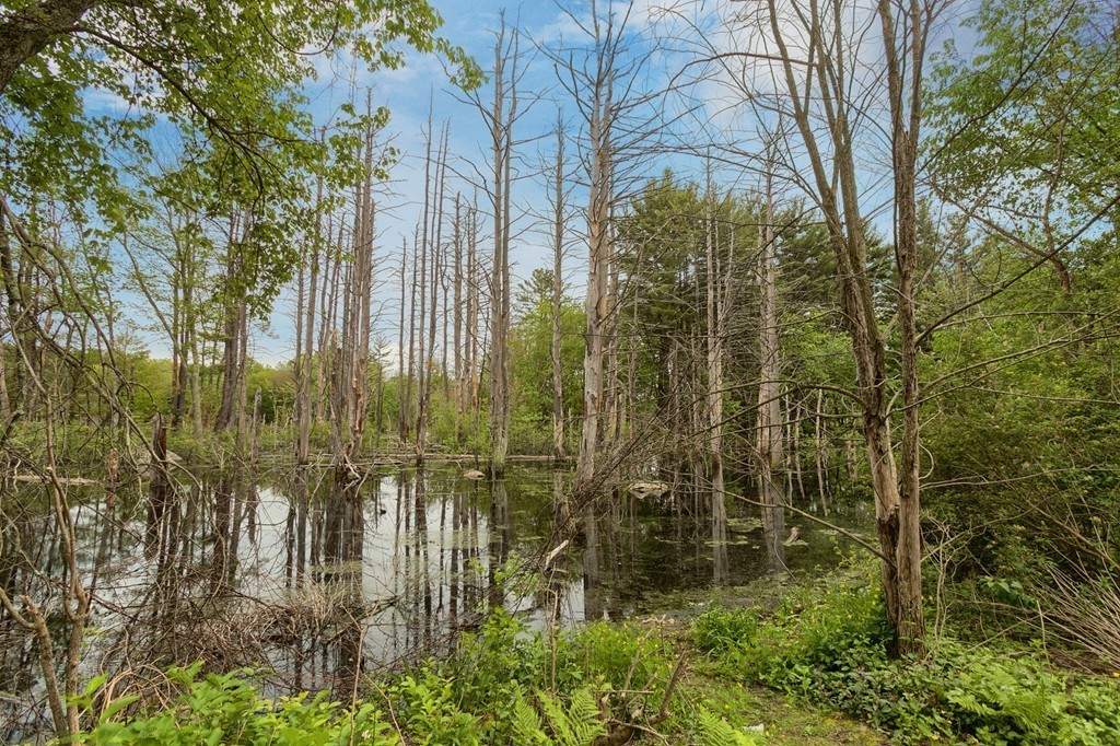 45 Christopher Road Holliston, MA 01746 - Photo 21 of 27 Gallery Image 21