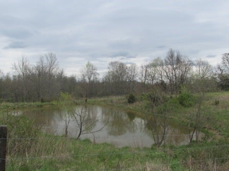 Fairview Church Road Smiths Grove, KY 42171 - Photo 13 of 34 Gallery Image 13
