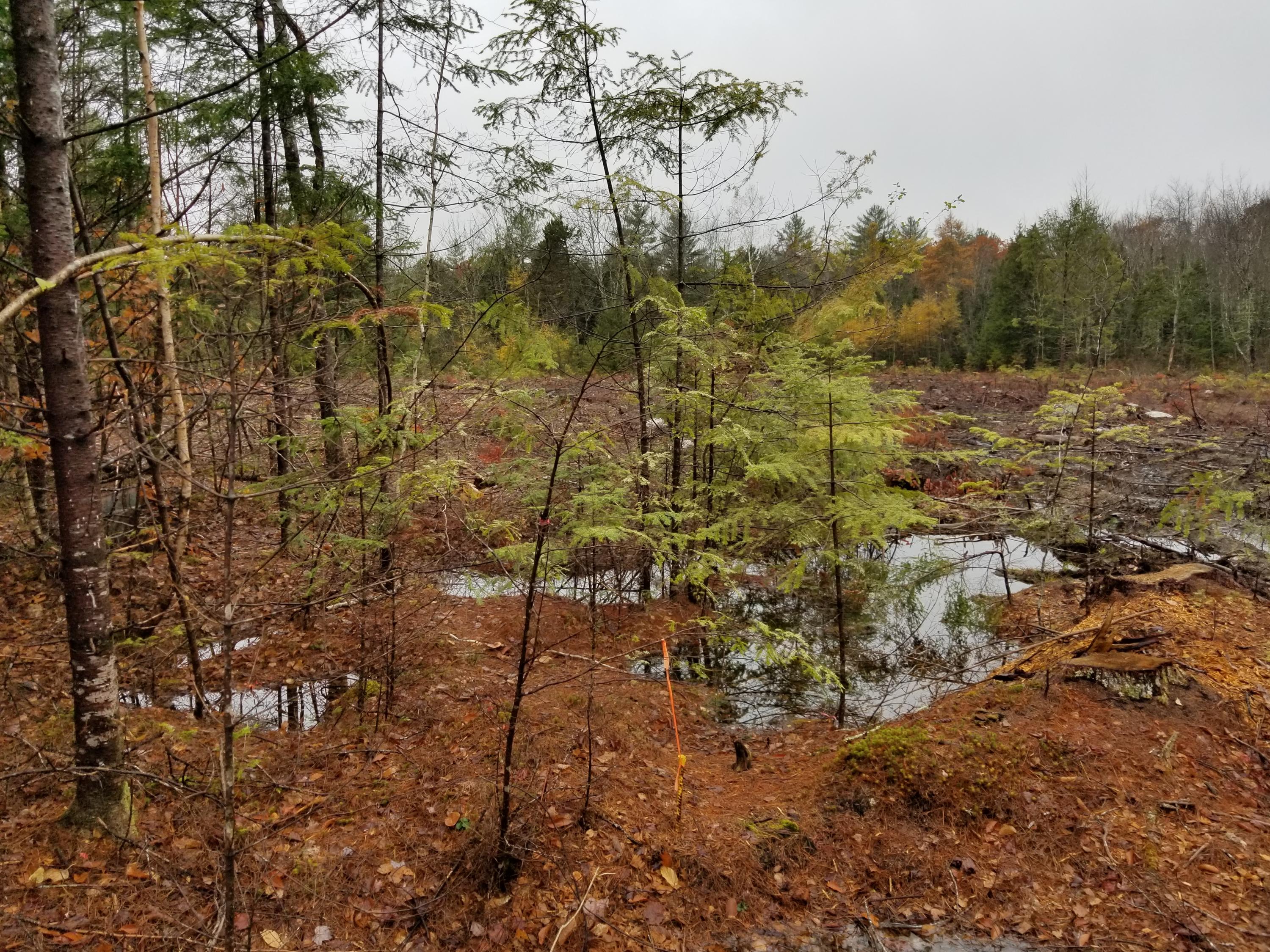 Lot #6 Pindo Polara Road Jefferson, ME 04348 - Photo 3 of 3 lot 6b