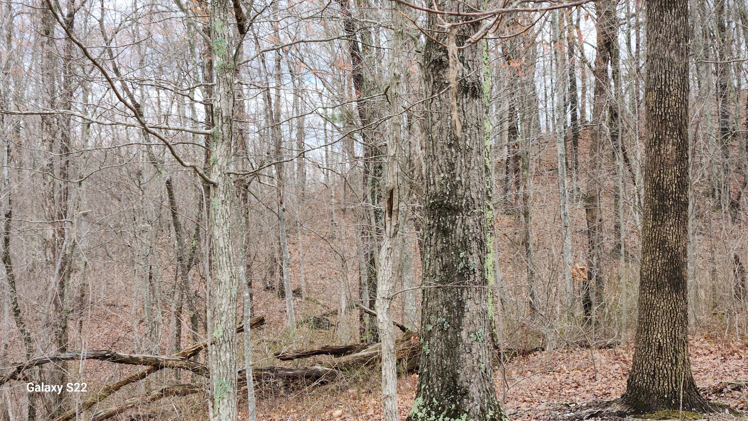3504 East Fork Road Means, KY 40346 - Photo 9 of 11 1000002107