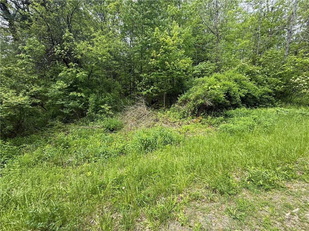 0 Straw Hill Road Barton, NY 13734 - Photo 3 of 6