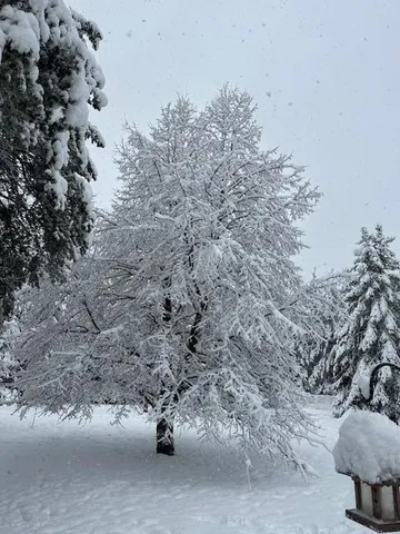 $675,000 | 13869 Hardy Lake Road Southwest, Pillager, MN 56473