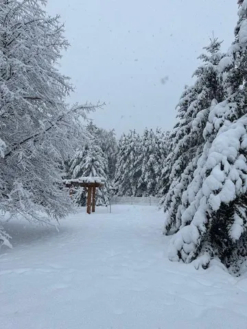 $675,000 | 13869 Hardy Lake Road Southwest, Pillager, MN 56473