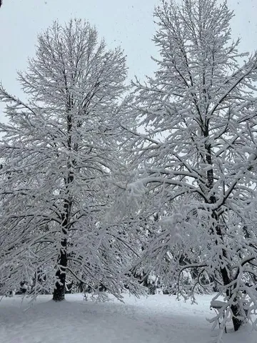 $675,000 | 13869 Hardy Lake Road Southwest, Pillager, MN 56473