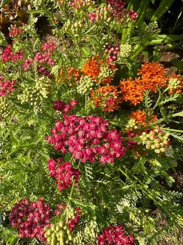 $675,000 | 13869 Hardy Lake Road Southwest, Pillager, MN 56473