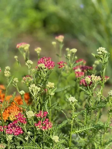 $675,000 | 13869 Hardy Lake Road Southwest, Pillager, MN 56473