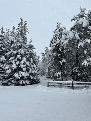 $675,000 | 13869 Hardy Lake Road Southwest, Pillager, MN 56473