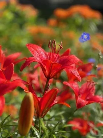 $675,000 | 13869 Hardy Lake Road Southwest, Pillager, MN 56473