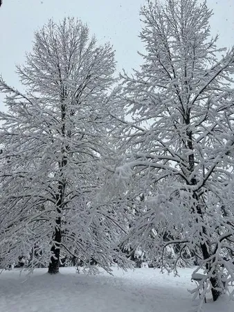 $650,000 | 13869 Hardy Lake Road Southwest, Pillager, MN 56473